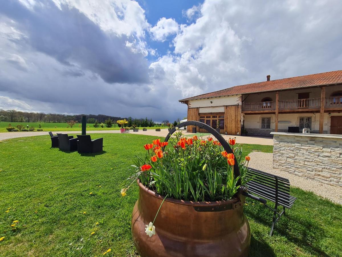 Domaine Du Cuiset -Gite Des Combles Villa Saint-André-sur-Vieux-Jonc Екстериор снимка