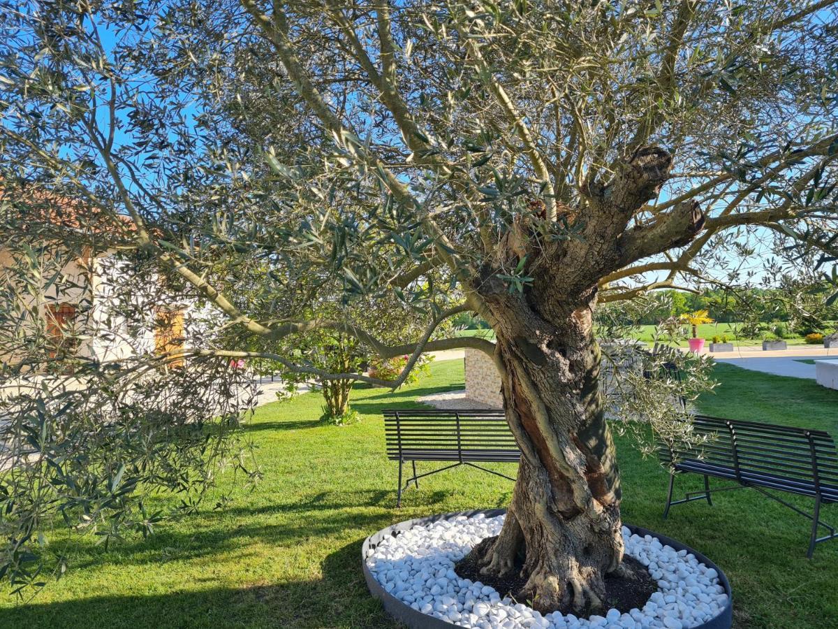 Domaine Du Cuiset -Gite Des Combles Villa Saint-André-sur-Vieux-Jonc Екстериор снимка
