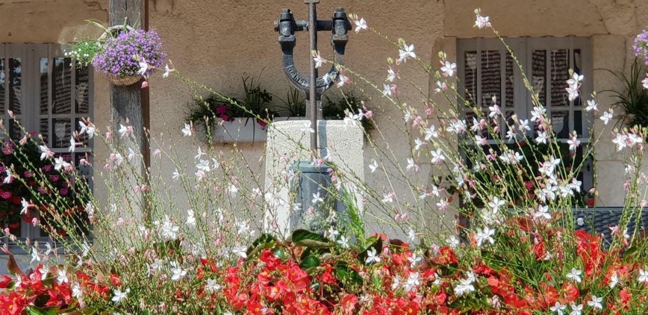 Domaine Du Cuiset -Gite Des Combles Villa Saint-André-sur-Vieux-Jonc Екстериор снимка